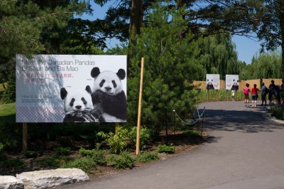 Outdoor signs were made with MDO plywood panels.