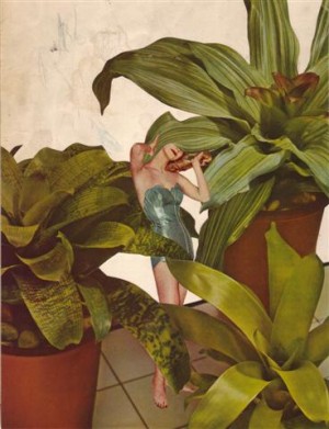 Foliage
