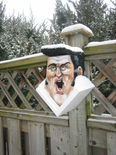 Build A Birdhouse - Elvis Birdhouse