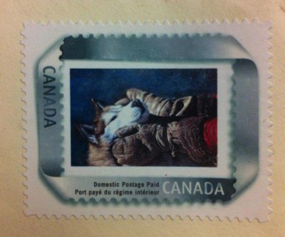 Before learning signmaking, Zimmer-Zschogner specialized in wildlife and portrait artistry. Her work was even featured on a Canadian stamp.