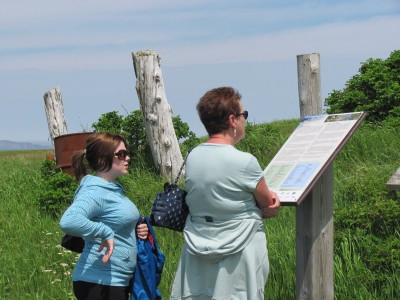 Island panel