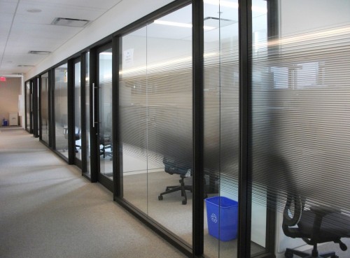 Window films were also used to create privacy screens for some of staff offices.