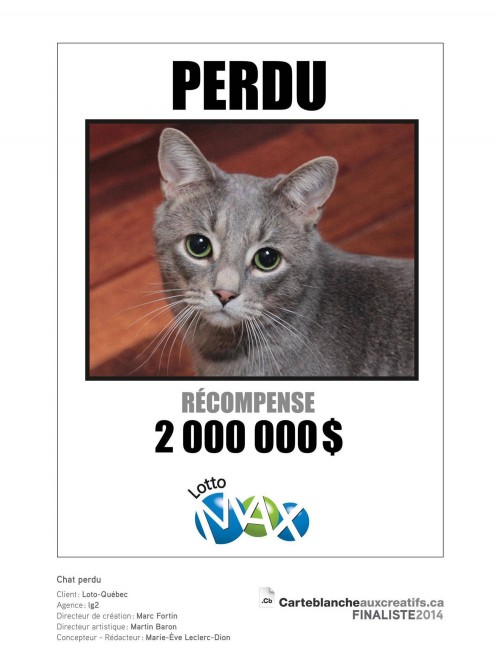 BELL MEDIA - Montréal Market Winners Announced