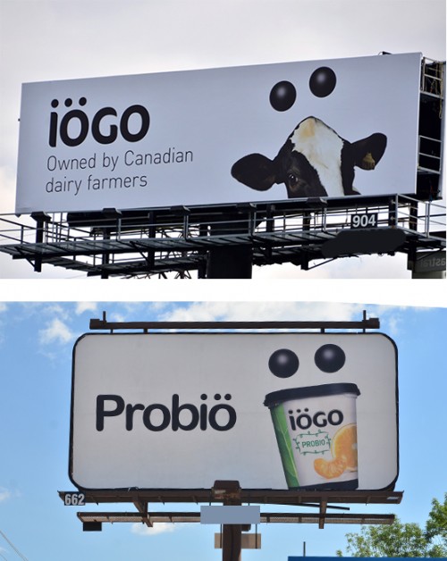 iogo