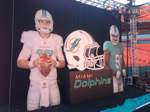 Dolphins1
