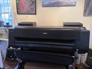 Canon Pro 4100 photo.