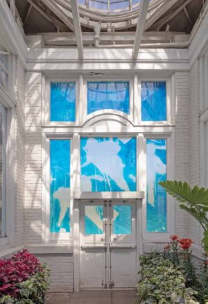 A clear, removable 0.08-mm (3-mil) thick vinyl film with a repositionable ‘comply’ adhesive, was used to bring Sofia Messa’s ‘Guardians’ photo series to the windows of the Allan Gardens Conservatory.