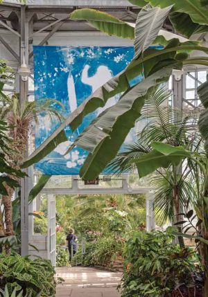 A clear, removable 0.08-mm (3-mil) thick vinyl film with a repositionable ‘comply’ adhesive, was used to bring Sofia Messa’s ‘Guardians’ photo series to the windows of the Allan Gardens Conservatory.