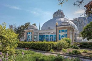 A clear, removable 0.08-mm (3-mil) thick vinyl film with a repositionable ‘comply’ adhesive, was used to bring Sofia Messa’s ‘Guardians’ photo series to the windows of the Allan Gardens Conservatory.