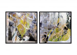 Roland DGA Customers Win Nine SGIA Golden Image Awards at PRINTING United 20192