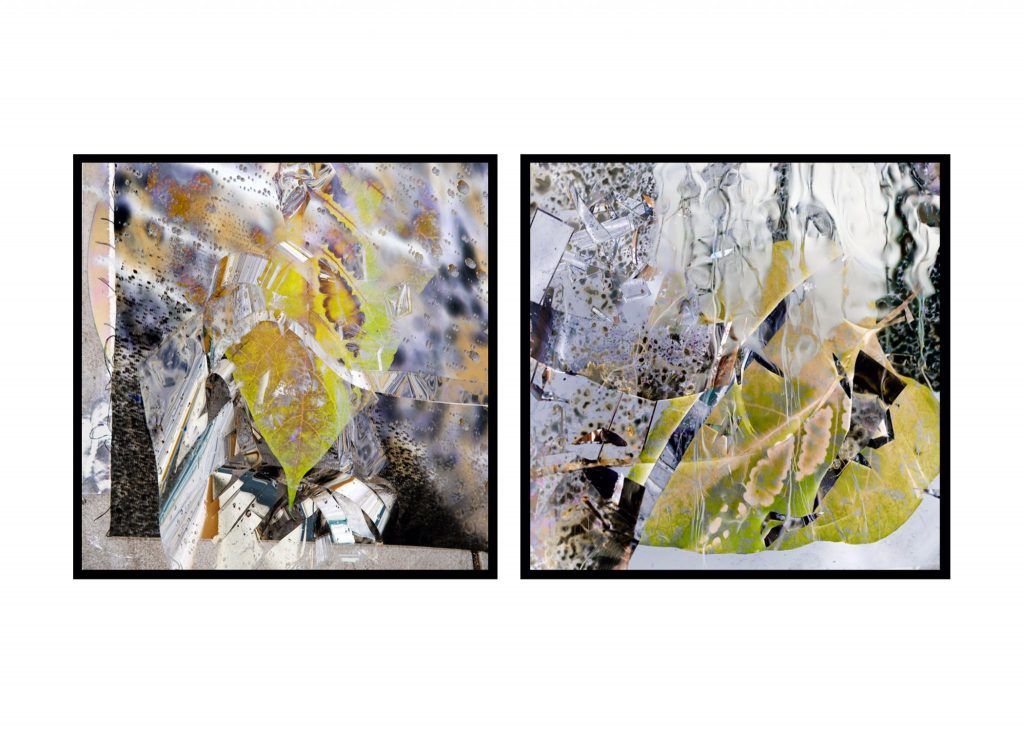 Roland DGA Customers Win Nine SGIA Golden Image Awards at PRINTING United 20192