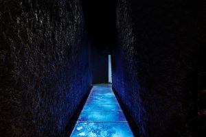 Canada Goose provides digital shopping experience