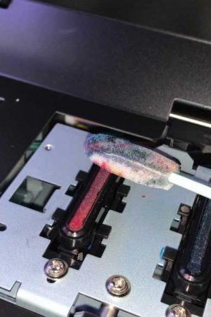 Dip a foam-tipped swab in the cleaning solution and gently wipe the black rubber O-rings that cap each printhead.