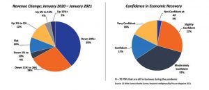 Figure 1 - Year-over-year revenue change and confidence in economic recovery.