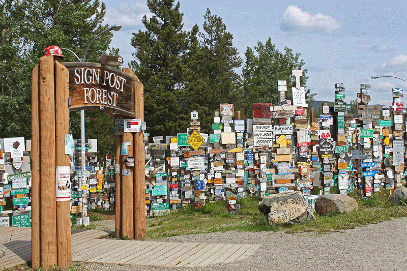 The entrance of Sign Post Forest