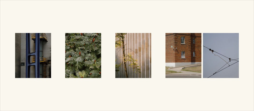 Anna Jasinska's photographs.