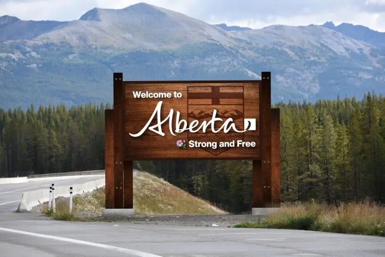 A rendering of the new signs.