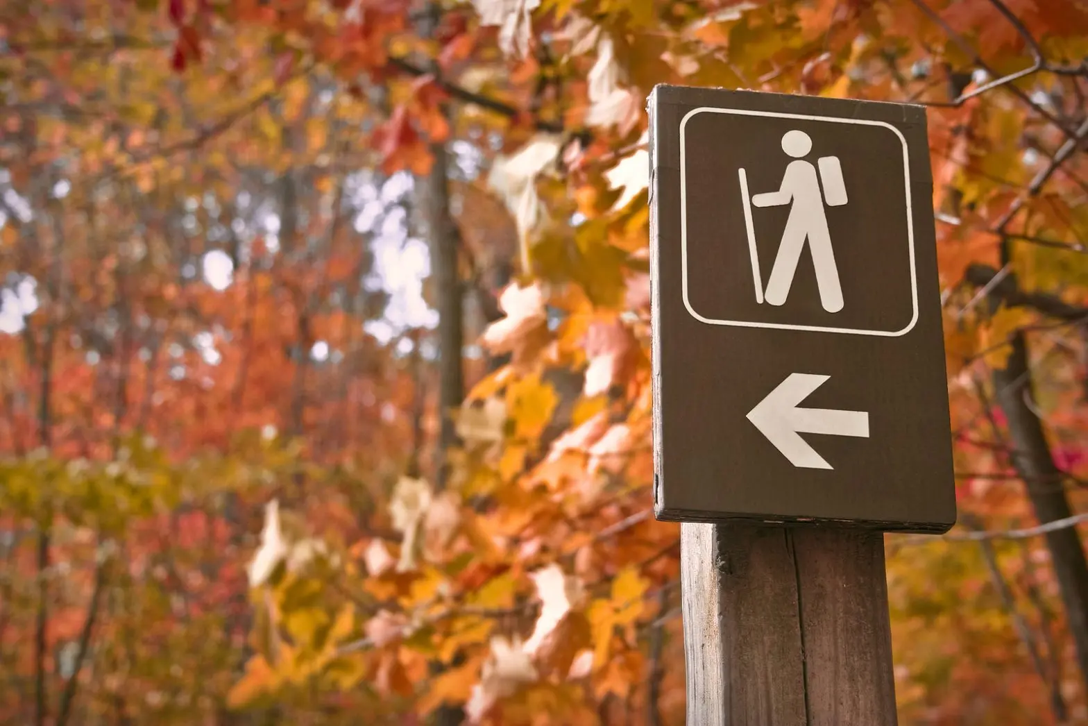 Hiking signage against a fall backdrop.